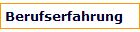 Berufserfahrung
