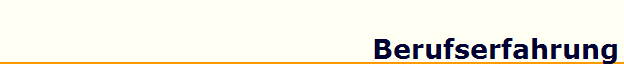 Berufserfahrung
